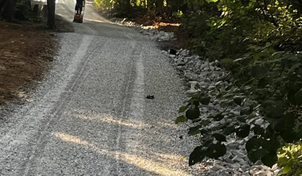 A person with a small dog walks down a gravel path surrounded by greenery and trees. The sun is shining through the trees, creating a serene, forested atmosphere. A pile of rocks lines the right side of the path. from Higley Construction